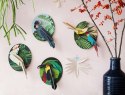 Studio ROOF - Dekoracja ścienna 3D Deco Papużka kakadu