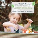 Tender Leaf Toys - Drewniane figurki do zabawy Leśne zwierzęta