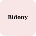 Bidony